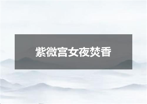 紫微宫女夜焚香