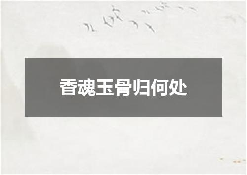 香魂玉骨归何处