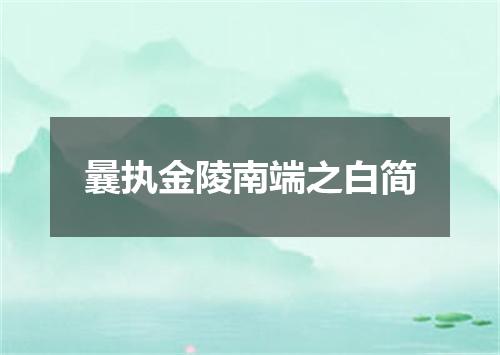 曩执金陵南端之白简