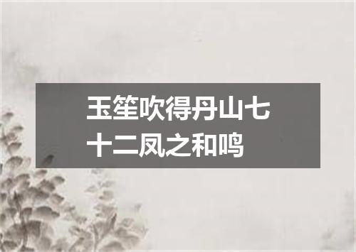玉笙吹得丹山七十二凤之和鸣