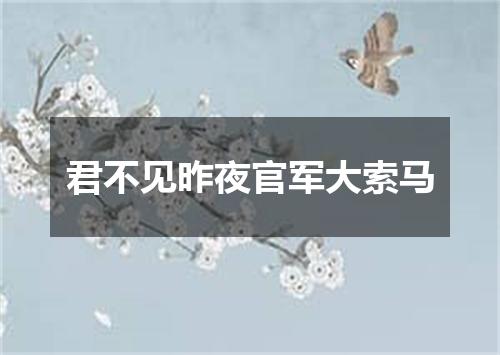君不见昨夜官军大索马