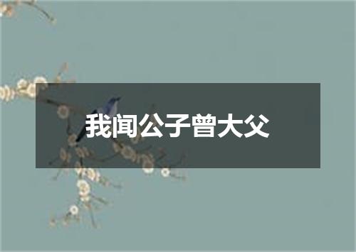 我闻公子曾大父