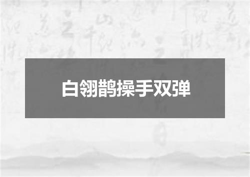 白翎鹊操手双弹