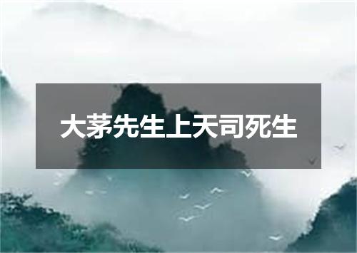 大茅先生上天司死生