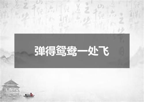 弹得鸳鸯一处飞
