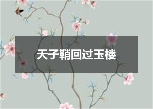 天子鞘回过玉楼