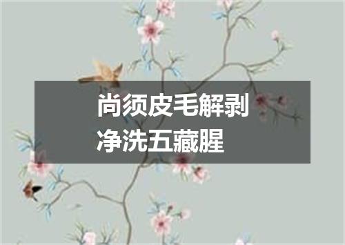 尚须皮毛解剥净洗五藏腥