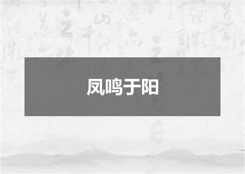 凤鸣于阳