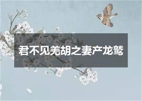 君不见羌胡之妻产龙鹫