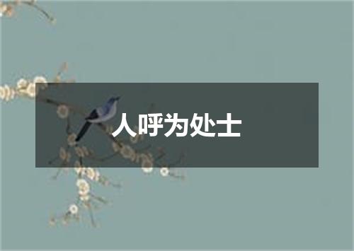 人呼为处士