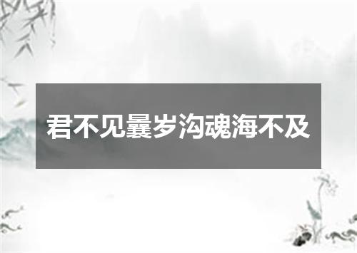 君不见曩岁沟魂海不及