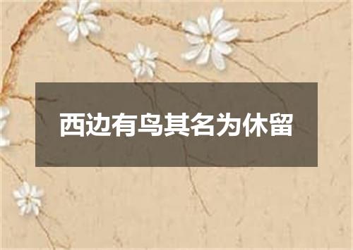 西边有鸟其名为休留
