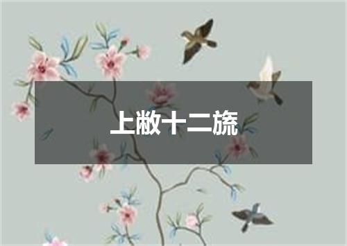 上敝十二旒