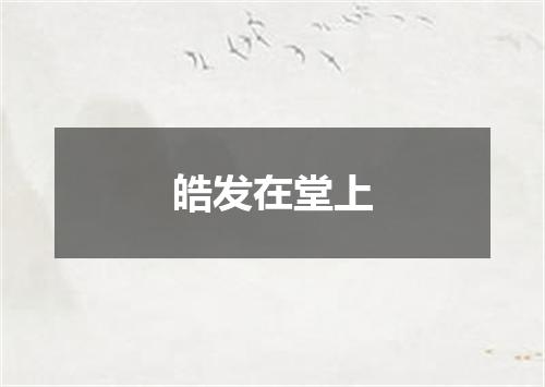 皓发在堂上