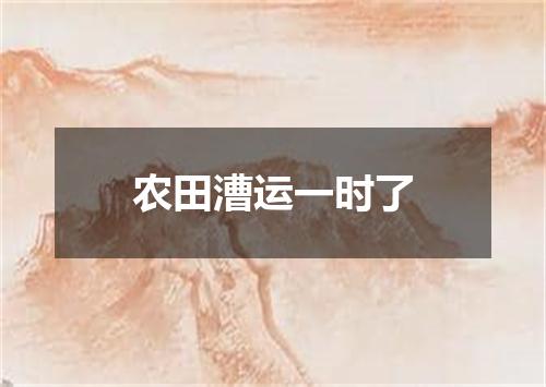 农田漕运一时了