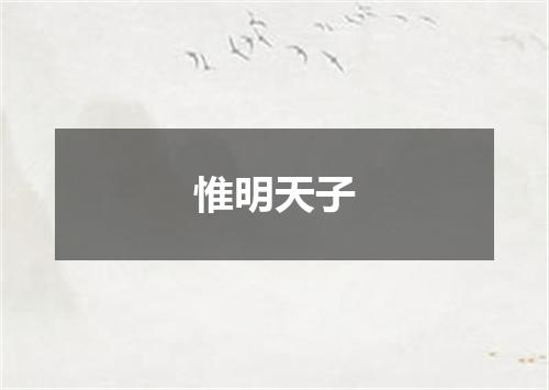 惟明天子