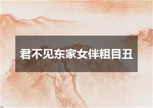 君不见东家女伴粗目丑