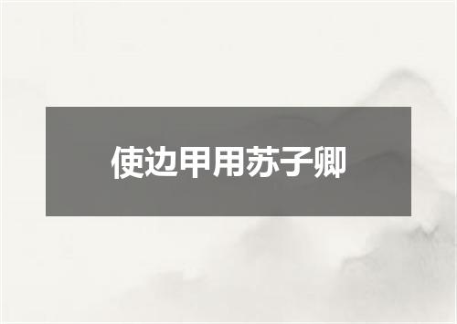 使边甲用苏子卿