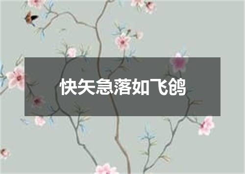 快矢急落如飞鸧