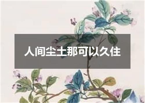 人间尘土那可以久住