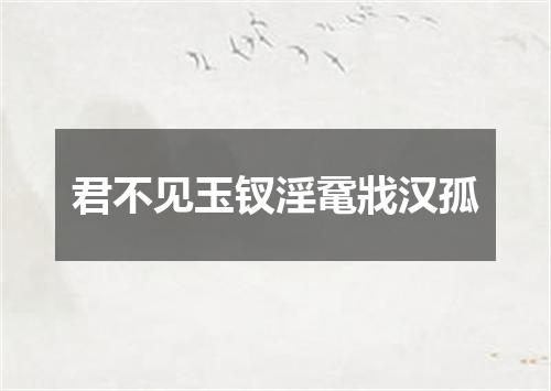 君不见玉钗淫鼋戕汉孤