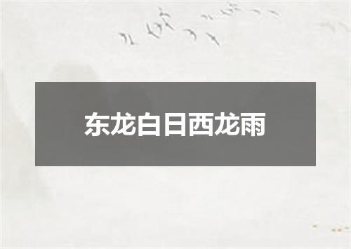 东龙白日西龙雨
