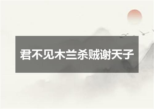 君不见木兰杀贼谢天子