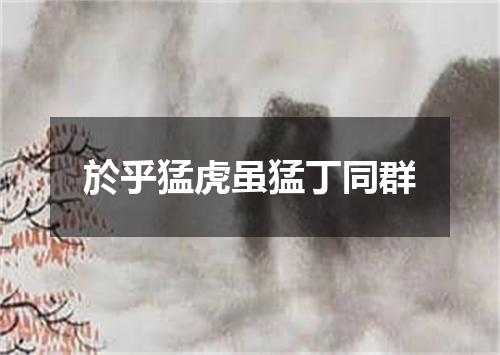 於乎猛虎虽猛丁同群