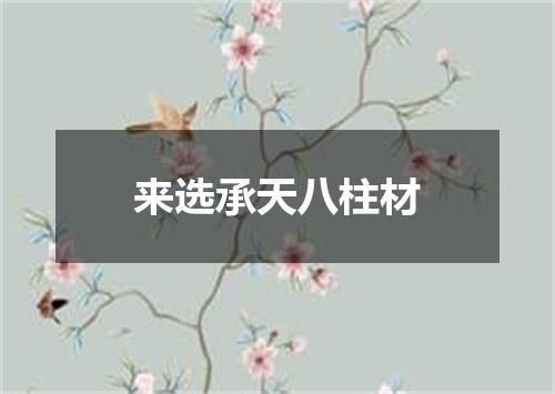 来选承天八柱材
