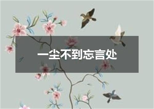 一尘不到忘言处