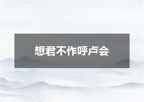 想君不作呼卢会