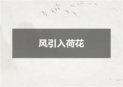 风引入荷花