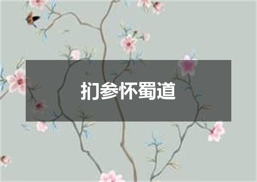 扪参怀蜀道