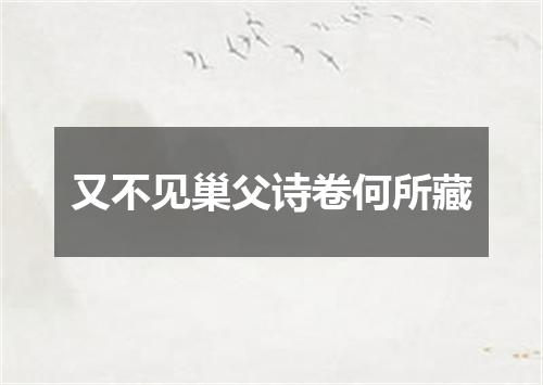 又不见巢父诗卷何所藏