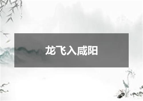 龙飞入咸阳