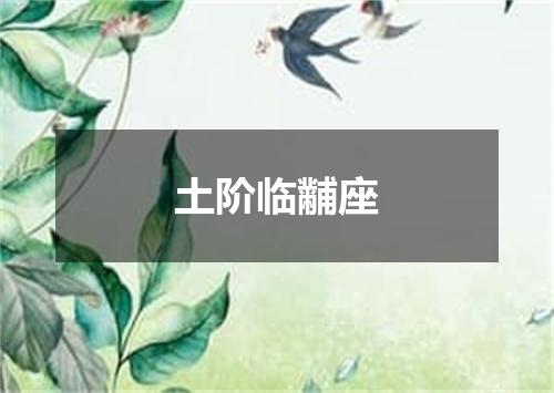 土阶临黼座