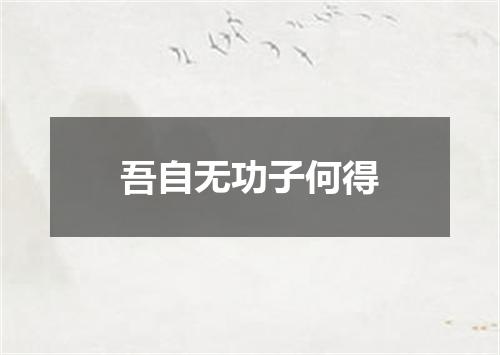 吾自无功子何得