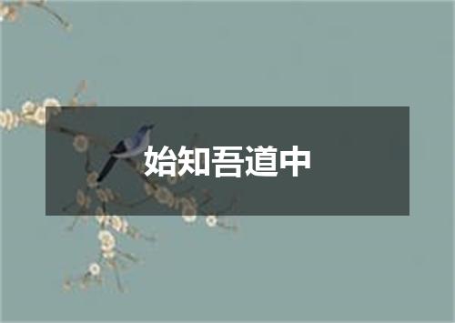 始知吾道中