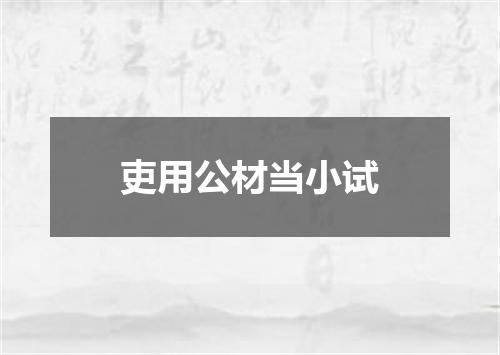 吏用公材当小试