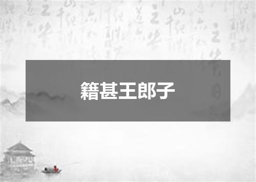 籍甚王郎子