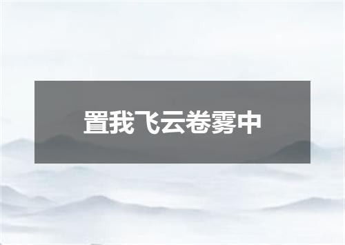 置我飞云卷雾中