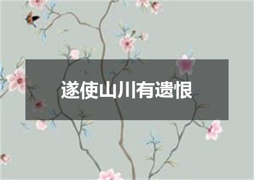 遂使山川有遗恨