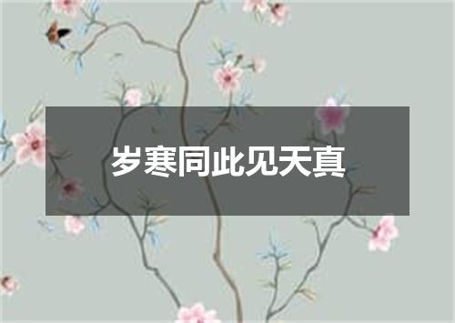 岁寒同此见天真