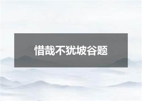 惜哉不犹坡谷题