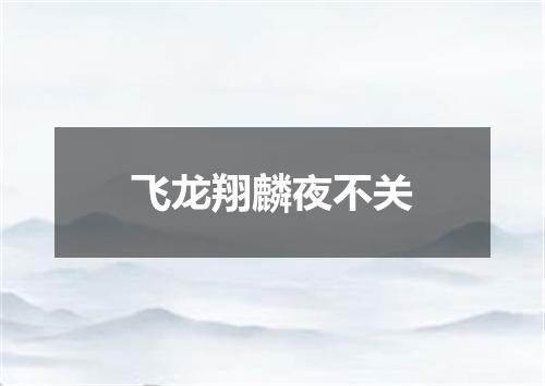 飞龙翔麟夜不关