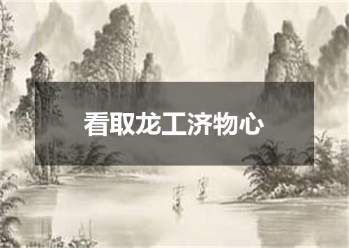 看取龙工济物心