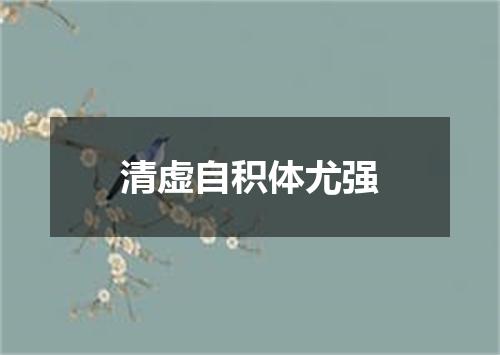 清虚自积体尤强