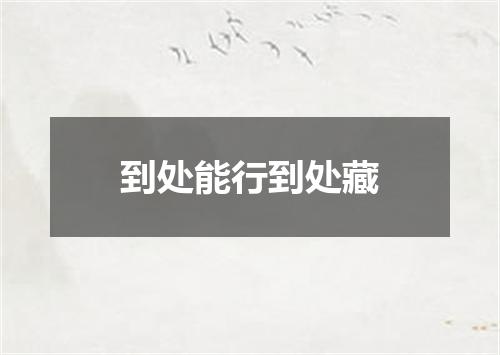 到处能行到处藏