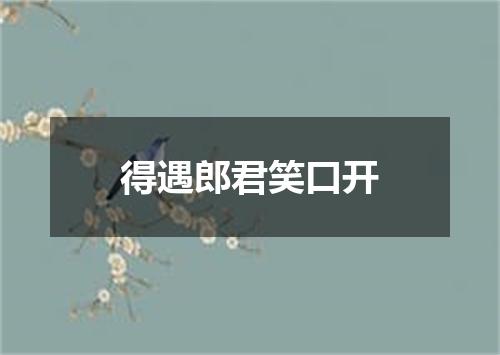 得遇郎君笑口开
