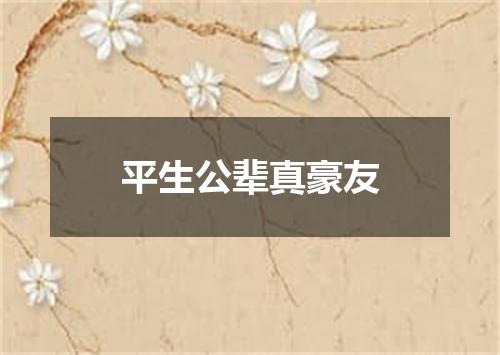 平生公辈真豪友